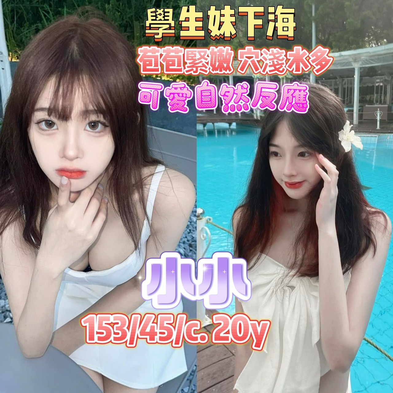 高雄・苓雅區 小小