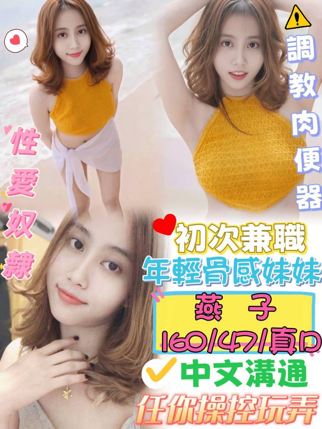台中・北區 燕子