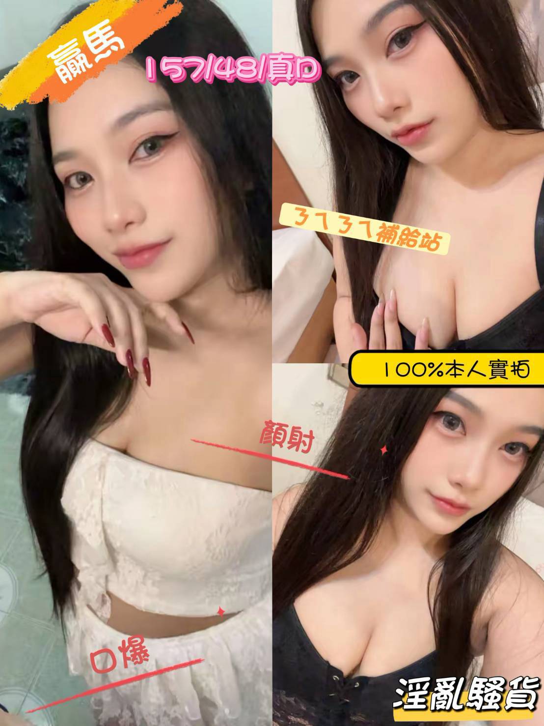 嘉義・西區 贏馬