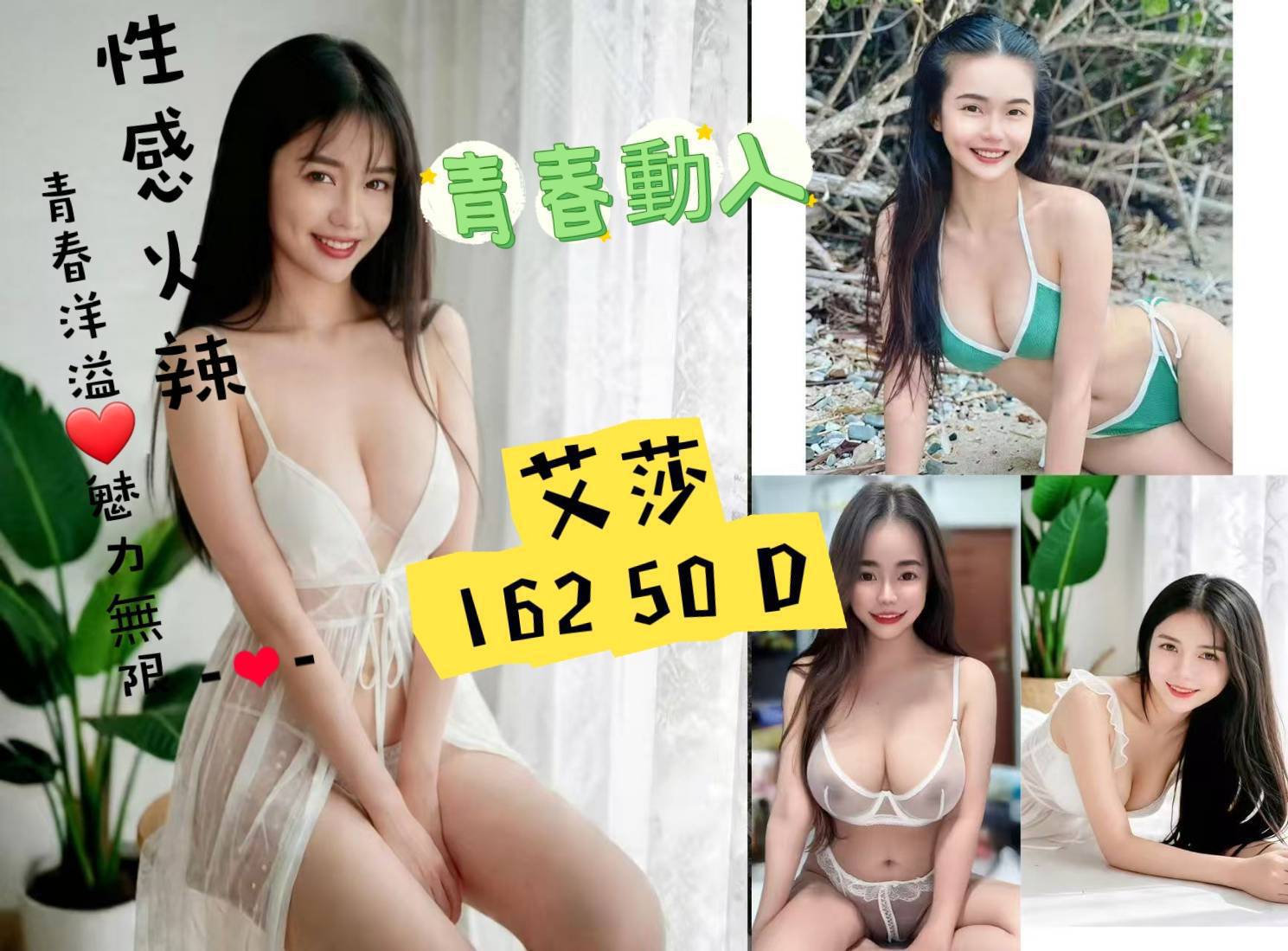 金門・金寧 艾莎